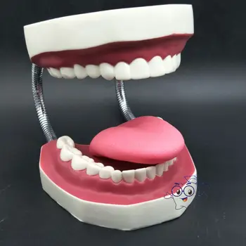 Модел Почистване на зъбите с език и гигантски зубным протеза за Обучение грижа за устната кухина Учебна Модел почистване на зъбите Инструменти