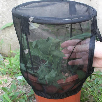 Градински инструменти, мрежа за огради, растения, окото чанта за фехтовка растения